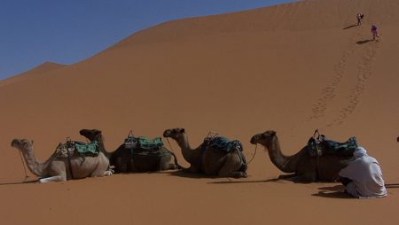 Ruta de 4 días desde Ouarzazate al desierto de Merzouga